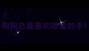 狗狗总是喜欢咬我的手