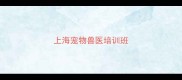上海宠物兽医培训班