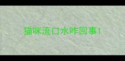 猫咪流口水咋回事