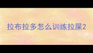 拉布拉多怎么训练拉屎