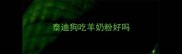 泰迪狗吃羊奶粉好吗