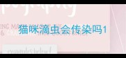 猫咪滴虫会传染吗