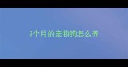2个月的宠物狗怎么养