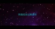 狗猫疫苗过敏症状