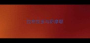 拉布拉多与萨摩耶