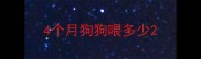 4个月狗狗喂多少