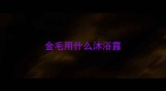 金毛用什么沐浴露