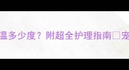 金毛犬正常体温多少度附超全护理指南宠物家长必看