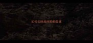 如何去除房间狗狗异味