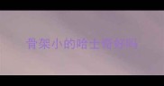 骨架小的哈士奇好吗