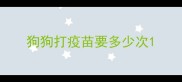 狗狗打疫苗要多少次