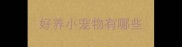 好养小宠物有哪些