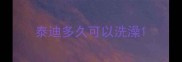 泰迪多久可以洗澡