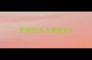 拉布拉多犬便宜价
