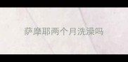 萨摩耶两个月洗澡吗