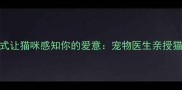 5个科学有效的方式让猫咪感知你的爱意宠物医生亲授猫咪情感交流指南