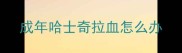 成年哈士奇拉血怎么办