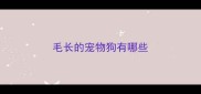毛长的宠物狗有哪些