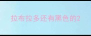 拉布拉多还有黑色的