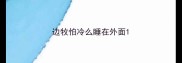 边牧怕冷么睡在外面