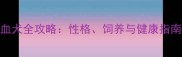 拉布拉多藏獒混血犬全攻略性格饲养与健康指南附训练视频