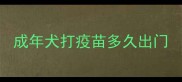 成年犬打疫苗多久出门