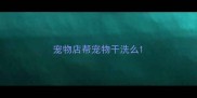 宠物店帮宠物干洗么