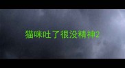 猫咪吐了很没精神