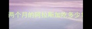 两个月的阿拉斯加吃多少