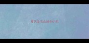 夏天金毛会掉多少毛