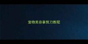 宠物美容拿剪刀教程