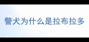 警犬为什么是拉布拉多