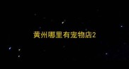 黄州哪里有宠物店