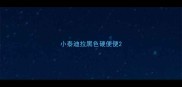 小泰迪拉黑色硬便便
