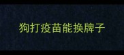 狗打疫苗能换牌子