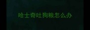 哈士奇吐狗粮怎么办