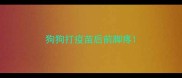 狗狗打疫苗后前脚疼