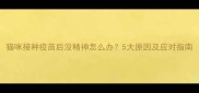 猫咪接种疫苗后没精神怎么办5大原因及应对指南