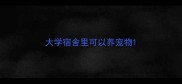 大学宿舍里可以养宠物