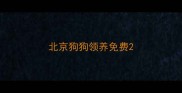 北京狗狗领养免费