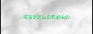 疫苗是怎么杀死蛔虫的
