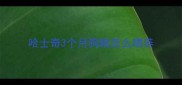 哈士奇3个月狗粮怎么喂养