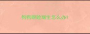 狗狗眼睑增生怎么办