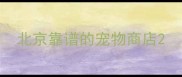 北京靠谱的宠物商店