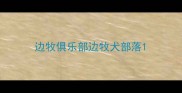 边牧俱乐部边牧犬部落