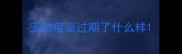 宠物疫苗过期了什么样
