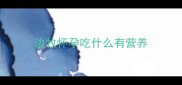 边牧怀孕吃什么有营养