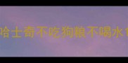 哈士奇不吃狗粮不喝水