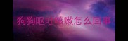 狗狗呕吐咳嗽怎么回事