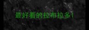 最好看的拉布拉多